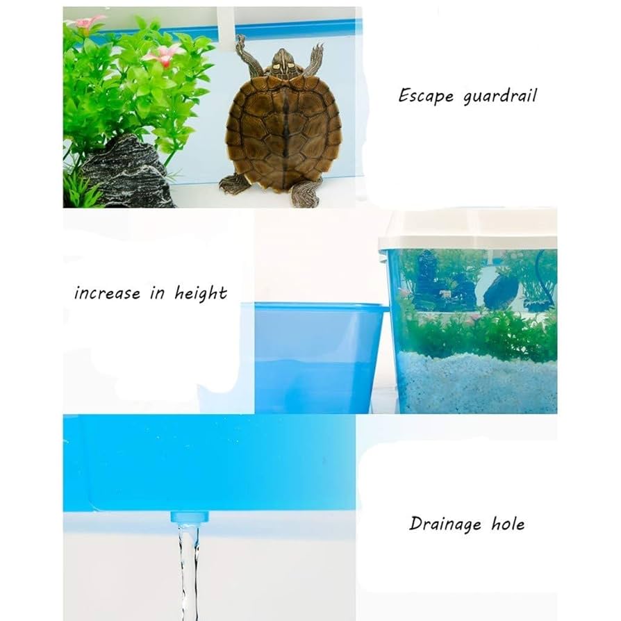 青色 海洋爬虫類 プラスチックモデル 約15cm 新商品のお知らせ】 – ネイチャーテクニカラー公式